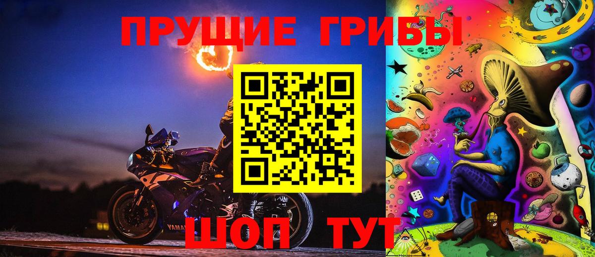 Севастополь  Галлюциногенные грибы Psilocybe  Галлюциногенные грибы мухоморы  Вход с VPN 