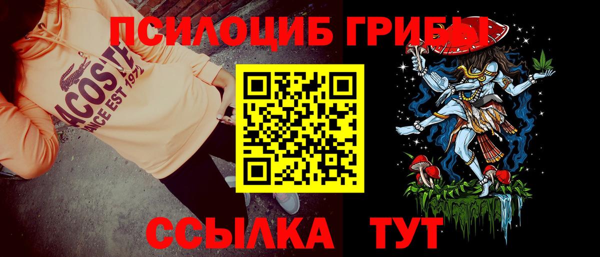 Галлюциногенные грибы Psilocybe Севастополь